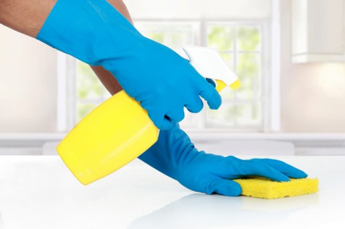 Cleaning product safety and carpet care procedures