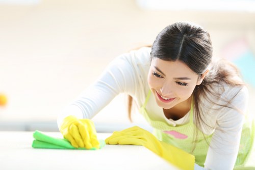 Close-up of upholstery care and stain treatment on a sofa in Stockwell