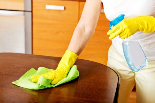 Detailed deep cleaning of a kitchen in Stockwell